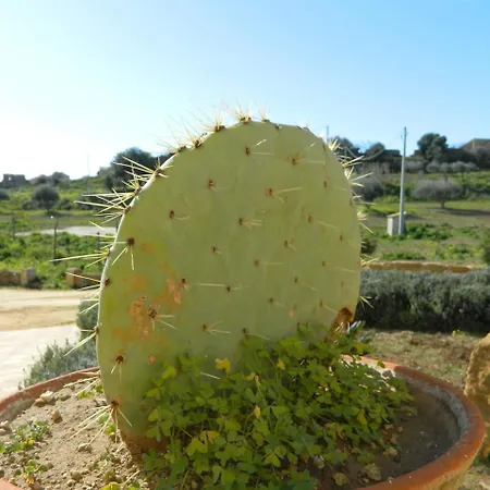 Passo Dei Briganti Agrigento